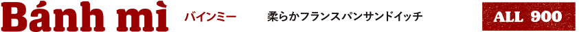 バインミー 柔らかフランスパンサンドイッチ