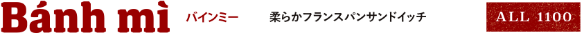 バインミー 柔らかフランスパンサンドイッチ